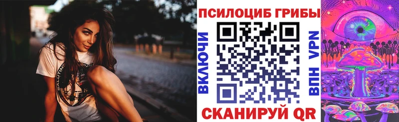дарк нет клад  Калач  Галлюциногенные грибы Magic Shrooms 